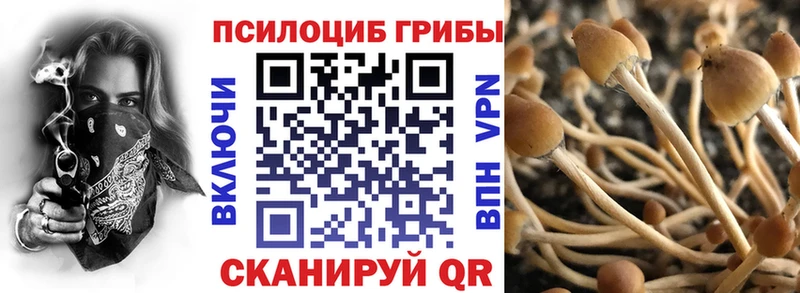 Купить где  Костерёво  Псилоцибиновые грибы Magic Shrooms 